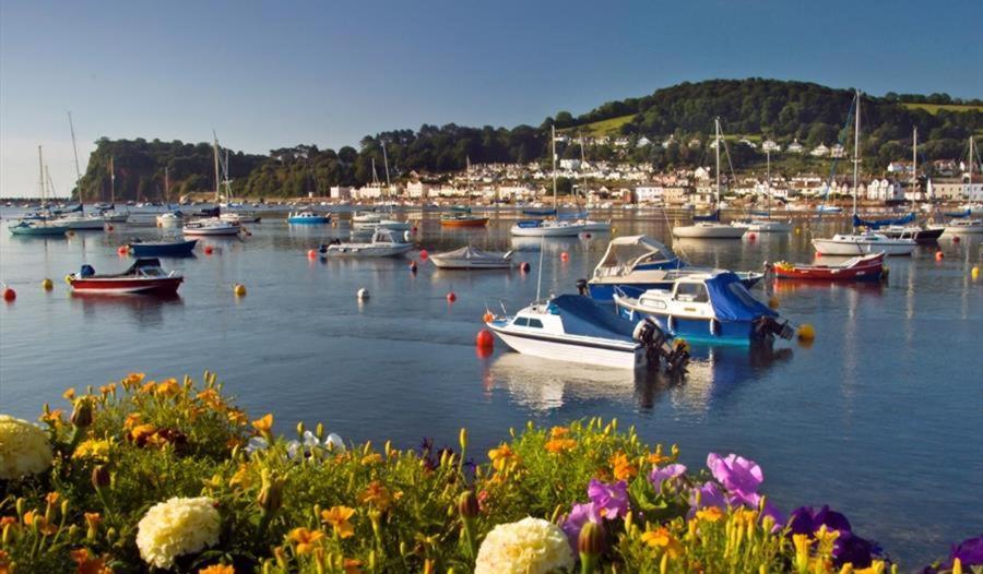 Sunnybrook - A Luxurious Carbon Neutral House Close To Beach, Shaldon Exteriör bild
