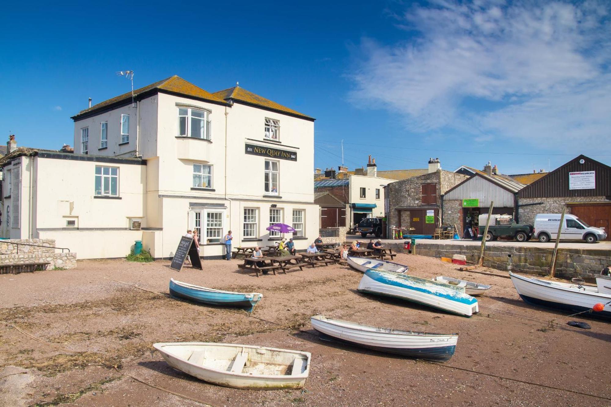 Sunnybrook - A Luxurious Carbon Neutral House Close To Beach, Shaldon Exteriör bild