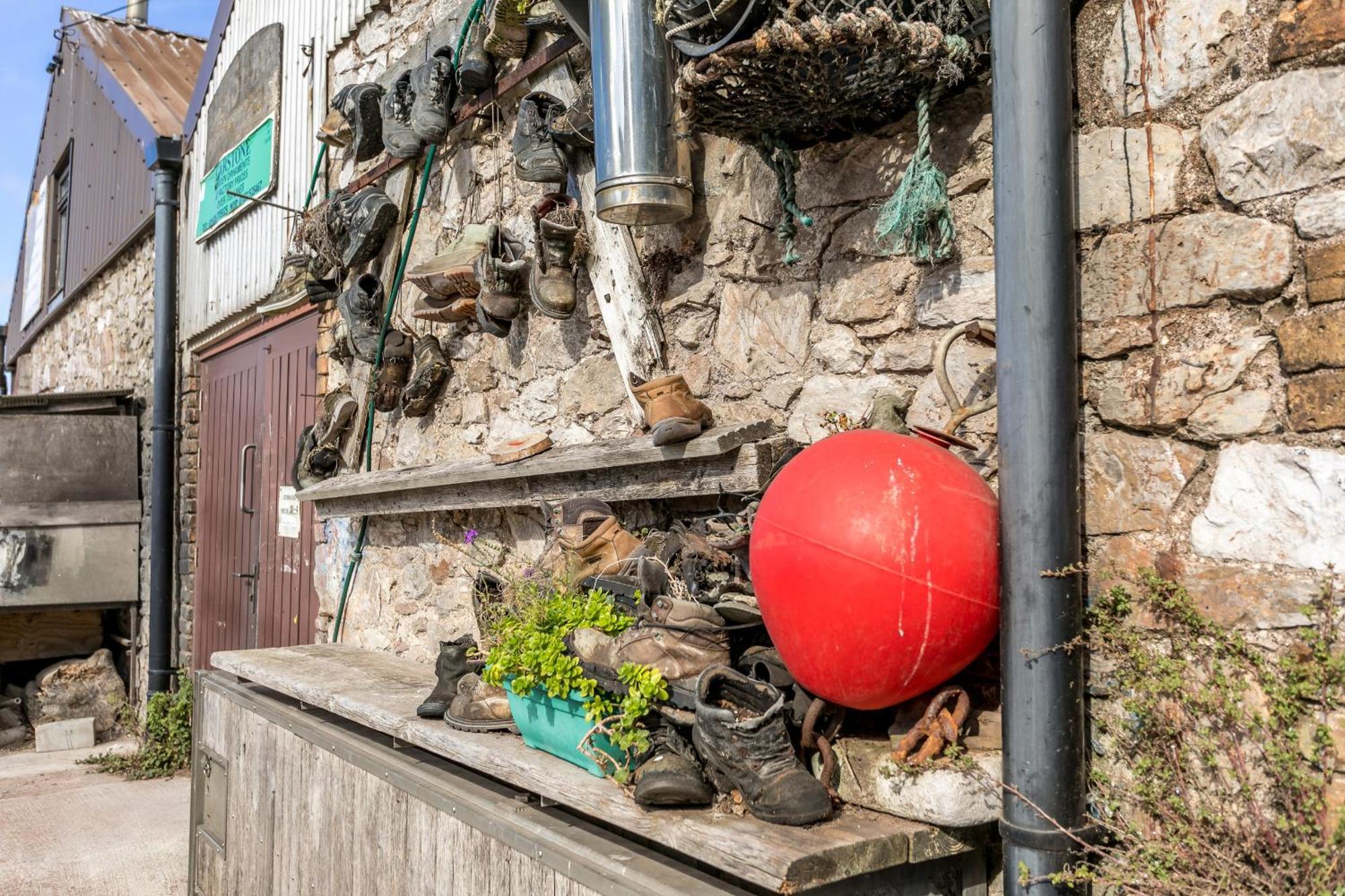 Sunnybrook - A Luxurious Carbon Neutral House Close To Beach, Shaldon Exteriör bild
