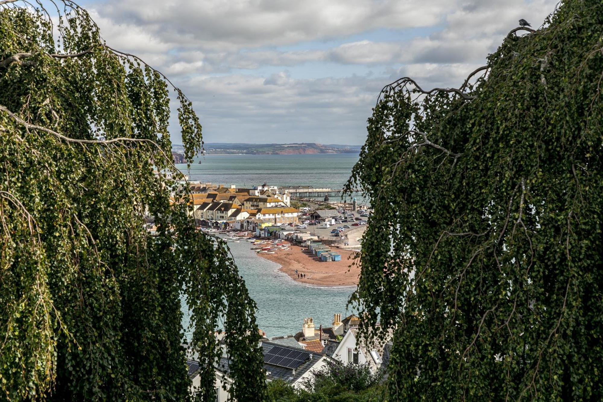 Sunnybrook - A Luxurious Carbon Neutral House Close To Beach, Shaldon Exteriör bild