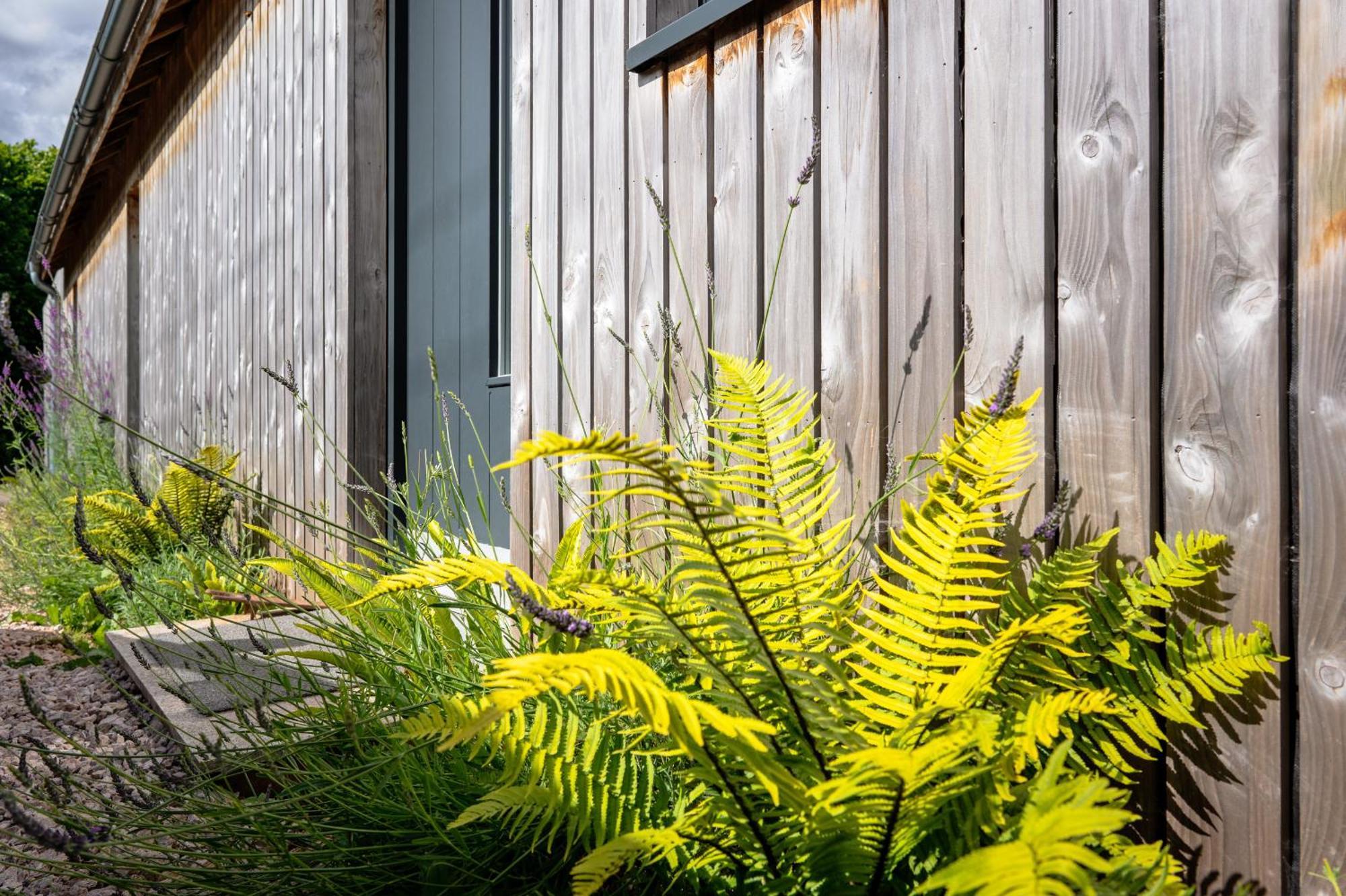 Sunnybrook - A Luxurious Carbon Neutral House Close To Beach, Shaldon Exteriör bild